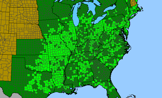 The range of Crataegus crus-galli